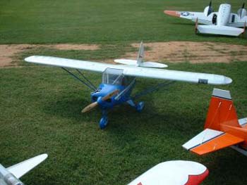 tripacer