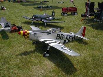 P51 2